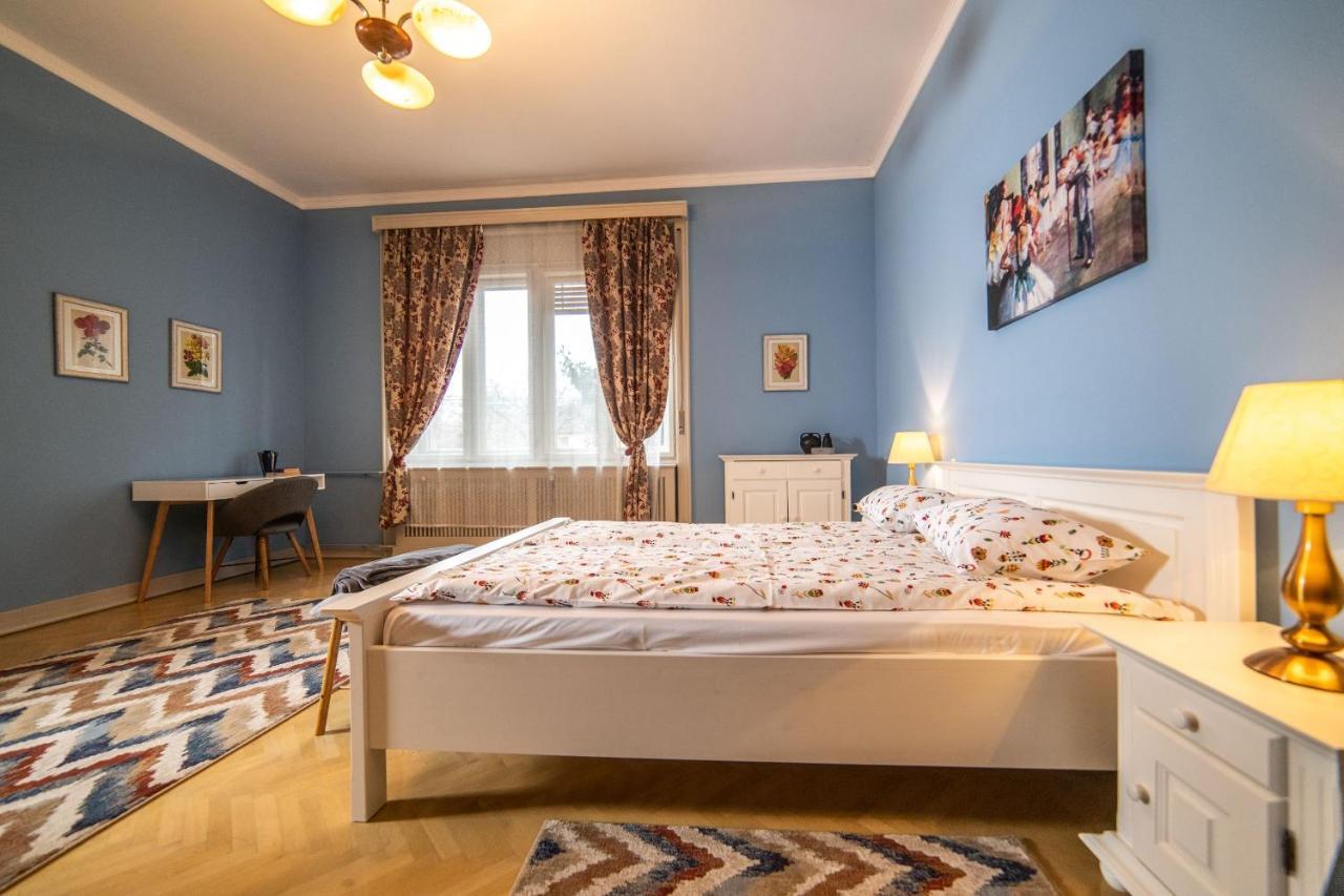 City House تيميشورا المظهر الخارجي الصورة