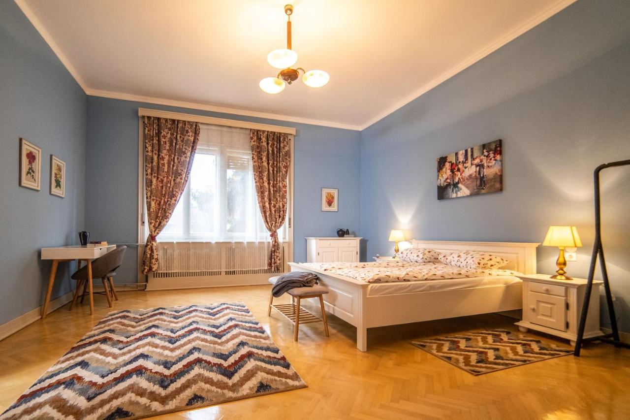 City House تيميشورا المظهر الخارجي الصورة
