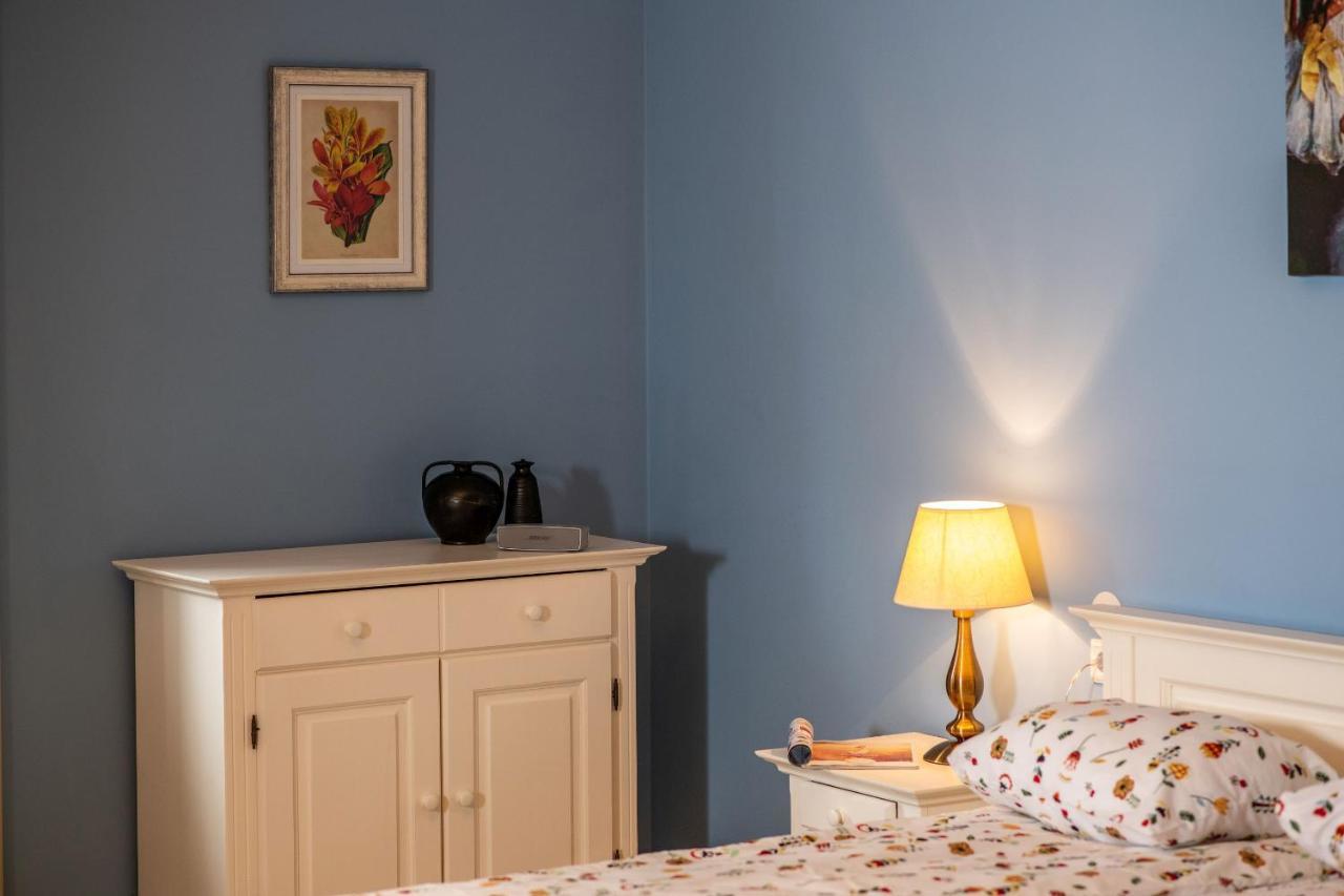 City House تيميشورا المظهر الخارجي الصورة