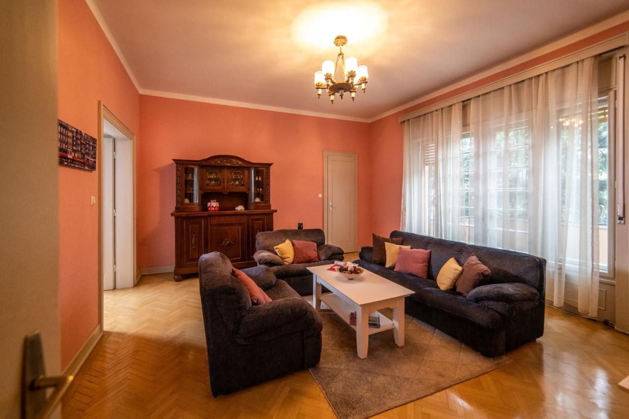 City House تيميشورا المظهر الخارجي الصورة