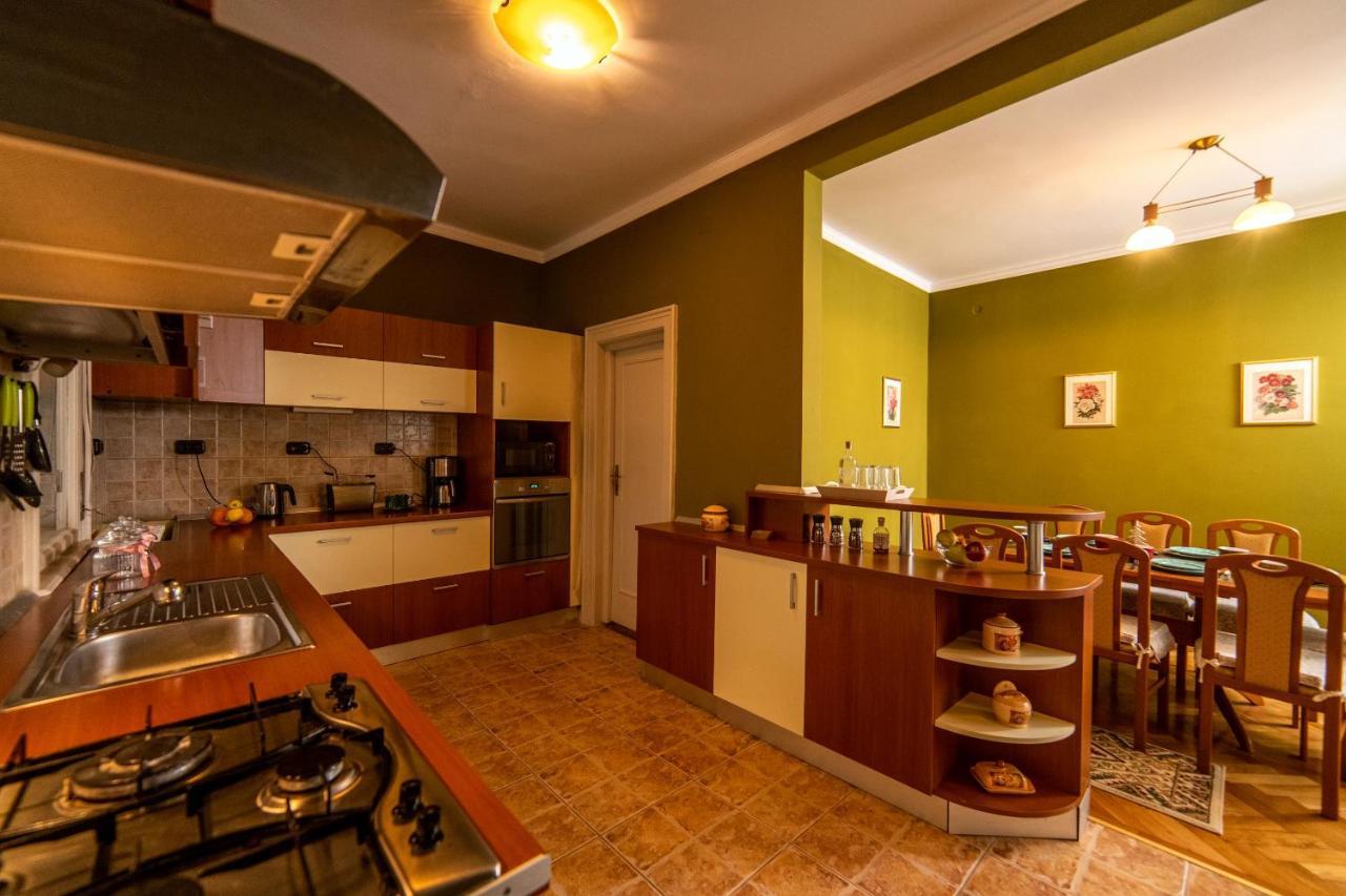City House تيميشورا المظهر الخارجي الصورة